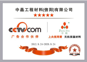 CCTV战略合作伙伴授权证书